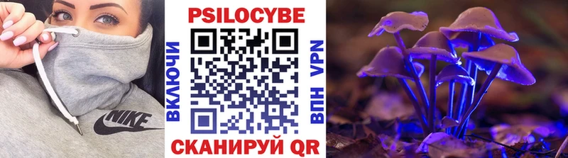 Псилоцибиновые грибы Cubensis  OMG как войти  Кадников 