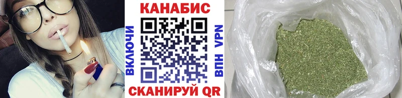 мориарти телеграм  Кадников  Бошки марихуана ГИДРОПОН  где найти наркотики 